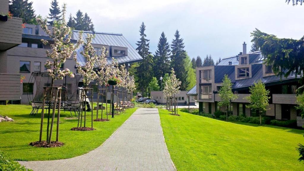 Anensky Apartman C303 - S O2 Tv A Stabilni Rychlou Wifi, S Moznosti Dokoupeni Bufetovych Snidani - By Relax Harrachov Buitenkant foto
